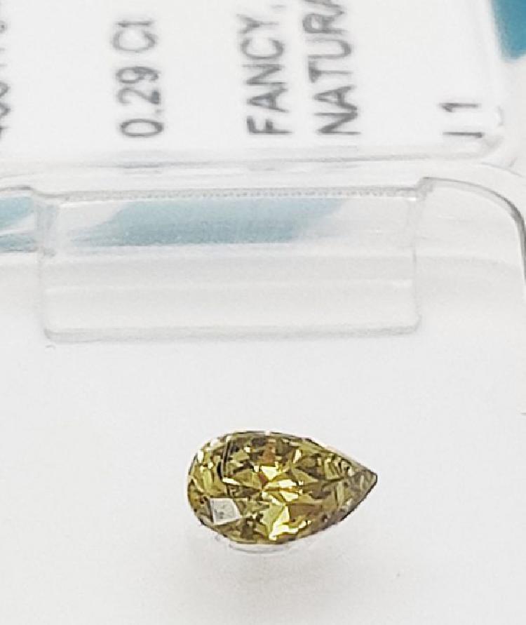 Lens holder sea sea držalo leč