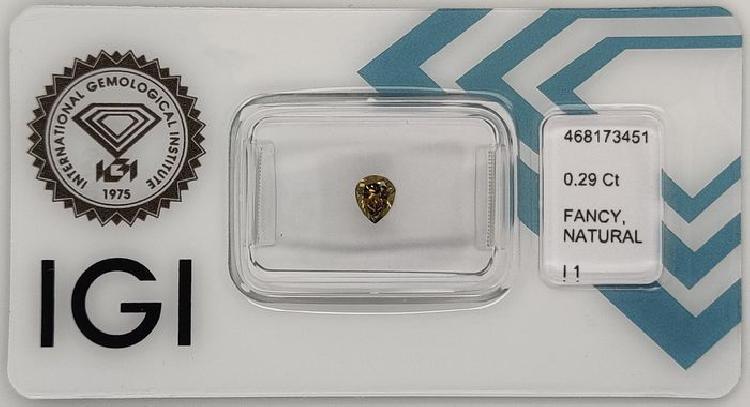 Lens holder sea sea držalo leč