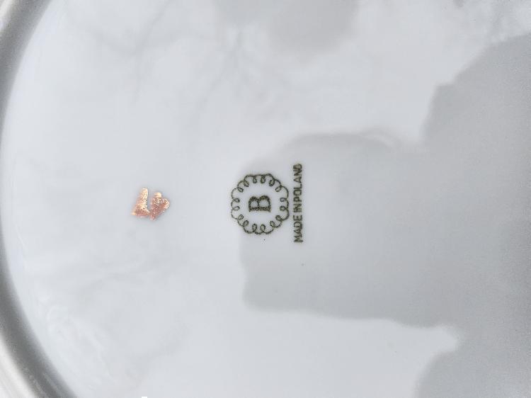 Komplet vintage Poljskega porcelana Bogucica-spletnedrazbe.si