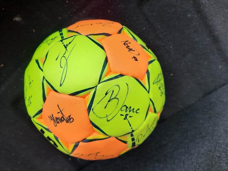 Podpisana žoga Slovenske rokometne reprezentance-spletnedrazbe.si