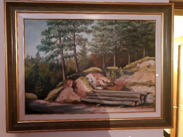 Slika gozd-spletnedrazbe.si