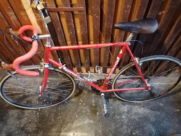 Specialka Bottecchia kolo iz 80ih let-spletnedrazbe.si